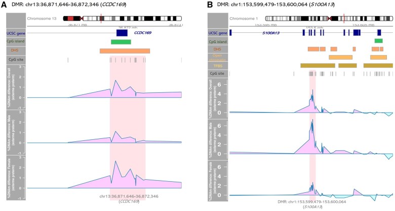 Graphs and detailed genome annotations showing differences in DNA methylation levels at the CCDC169 gene locus (panel on left, labeled A) and S100A13 gene locus (panel on right, labeled B) between individuals with and without asthma, in the overall sample and stratified by sex. Genome annotations include gene symbol, CpG islands, DNAse hypersensitivity sites (DHS), and CpG sites.