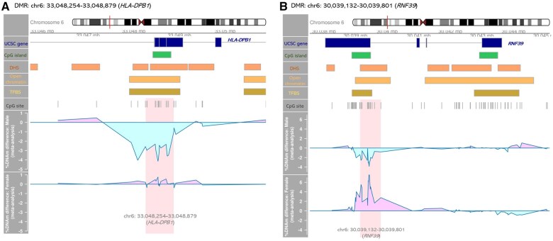 Graphs and detailed genome annotations showing differences in DNA methylation levels at the HLA-DBP1 gene locus (panel on left, labeled A) and RNF39 gene locus (panel on right, labeled B) between individuals with and without asthma, stratified by sex. Genome annotations include gene symbol, CpG islands, DNAse hypersensitivity sites (DHS), open chromatin, transcription factor binding sites (TFBS), and CpG sites.