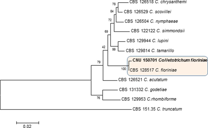 Fig. 2