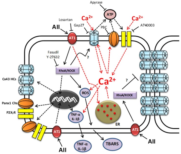 Figure 10