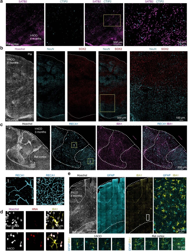 Extended Data Fig. 3