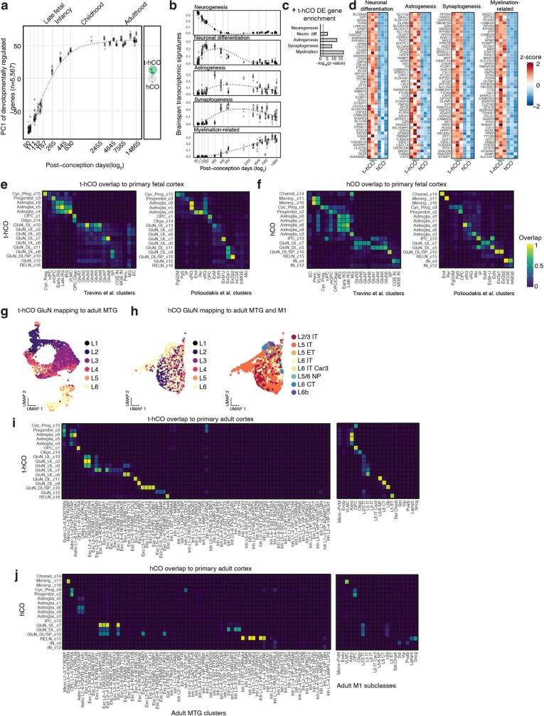 Extended Data Fig. 5