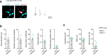 Extended Data Fig. 6