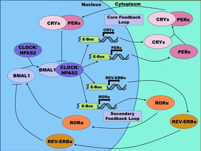 FIG. 6.