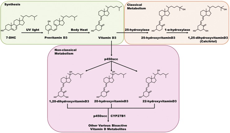 FIG. 8.