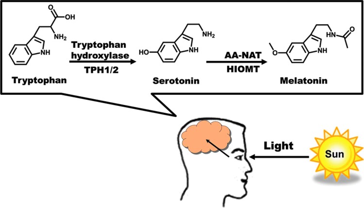 FIG. 7.