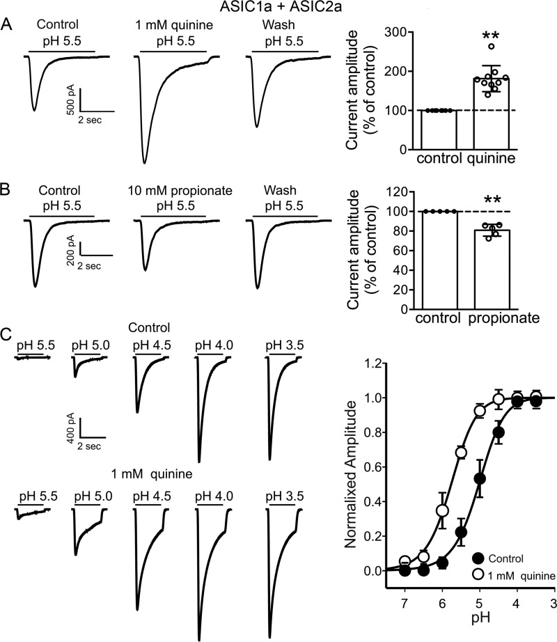 FIGURE 10.