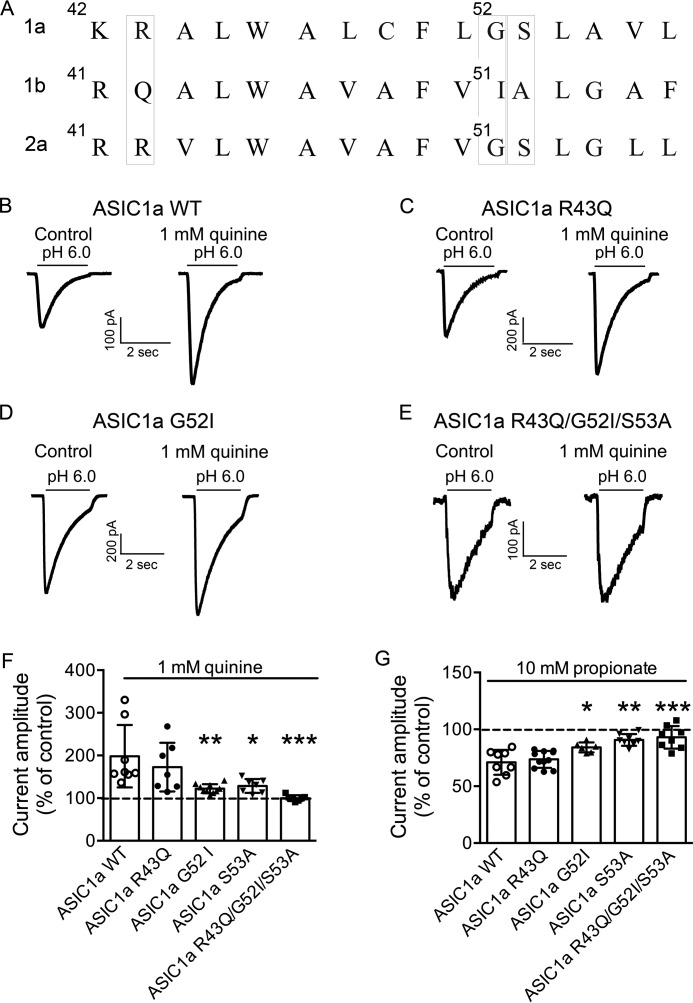 FIGURE 12.