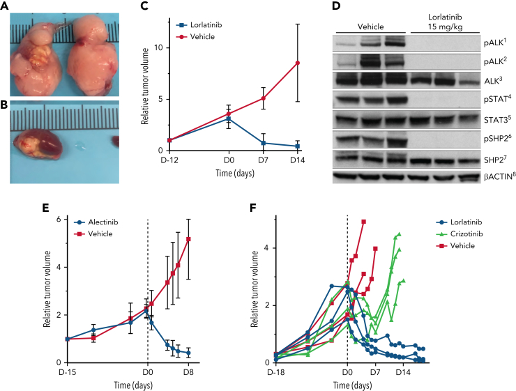 Figure 2.