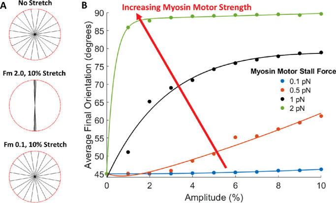 FIGURE 8: