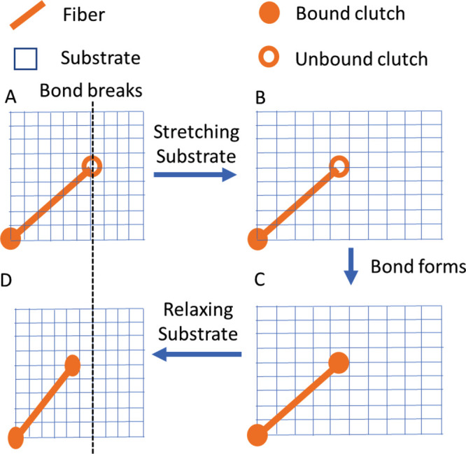 FIGURE 9: