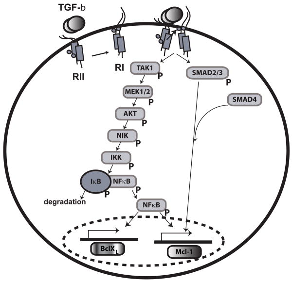 Fig. 8