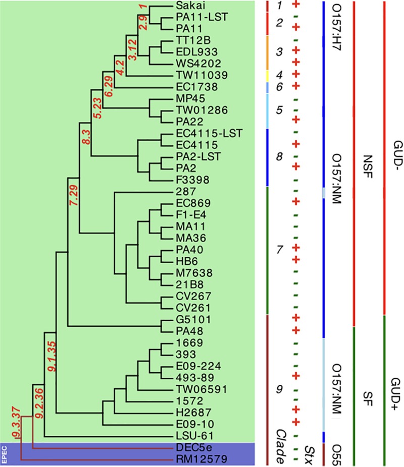 FIGURE 3