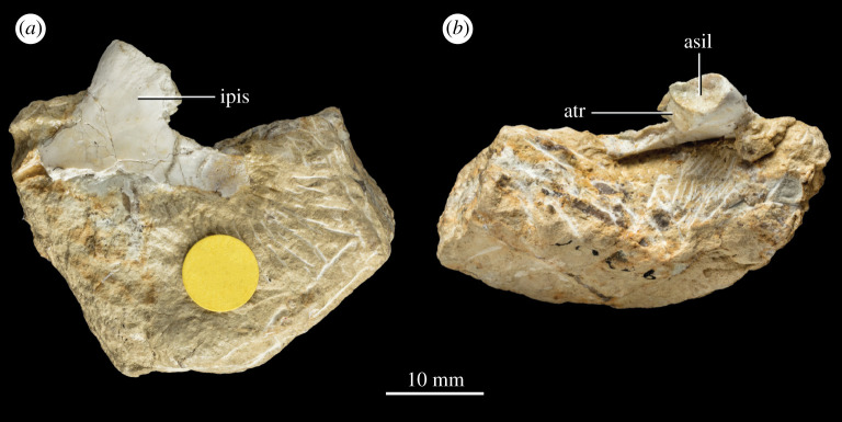 Figure 5. 