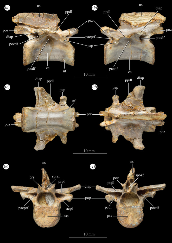 Figure 4. 