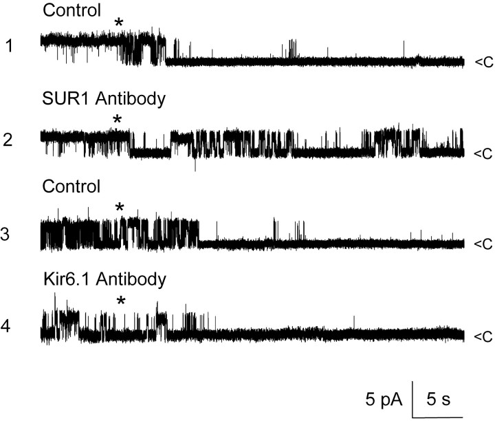 Figure 11.