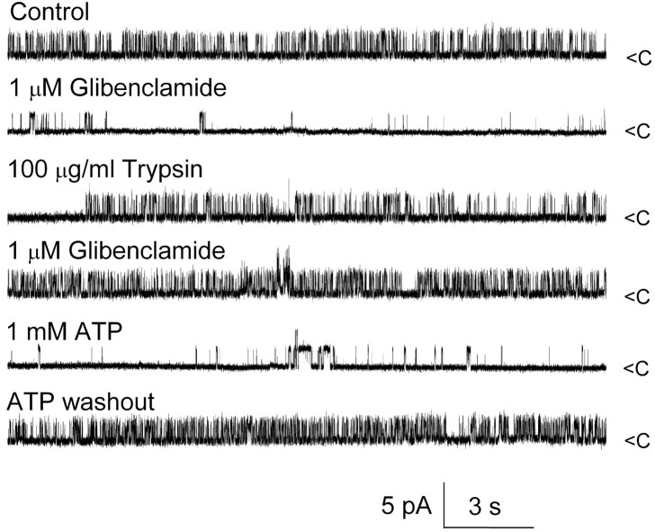 Figure 10.