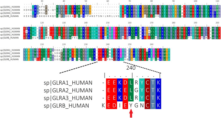 FIGURE 3