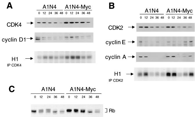 FIG. 7