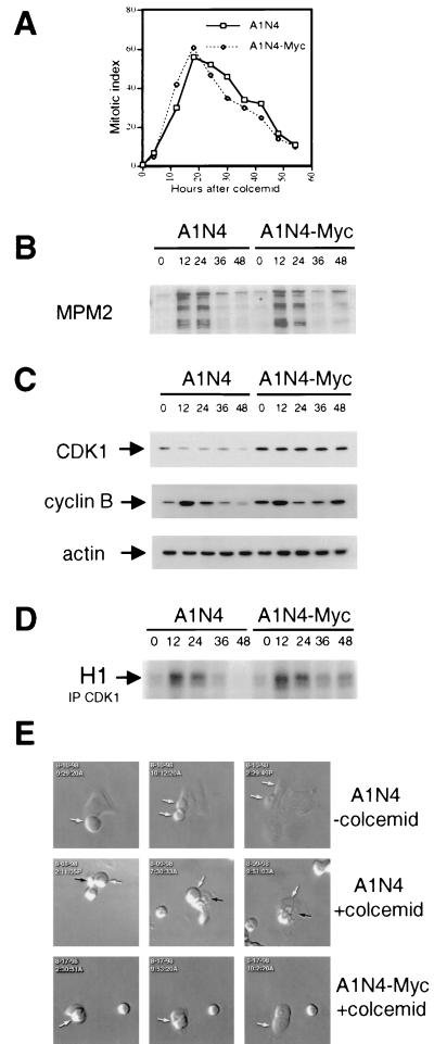 FIG. 6