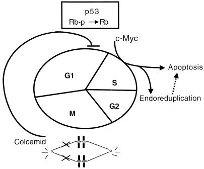 FIG. 8