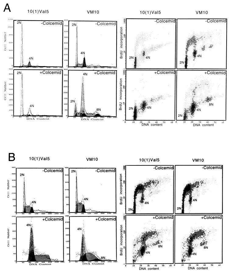 FIG. 3