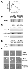 FIG. 6