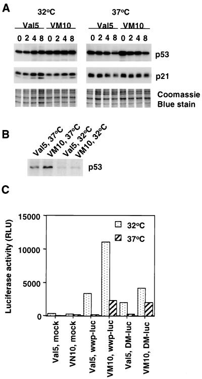 FIG. 4