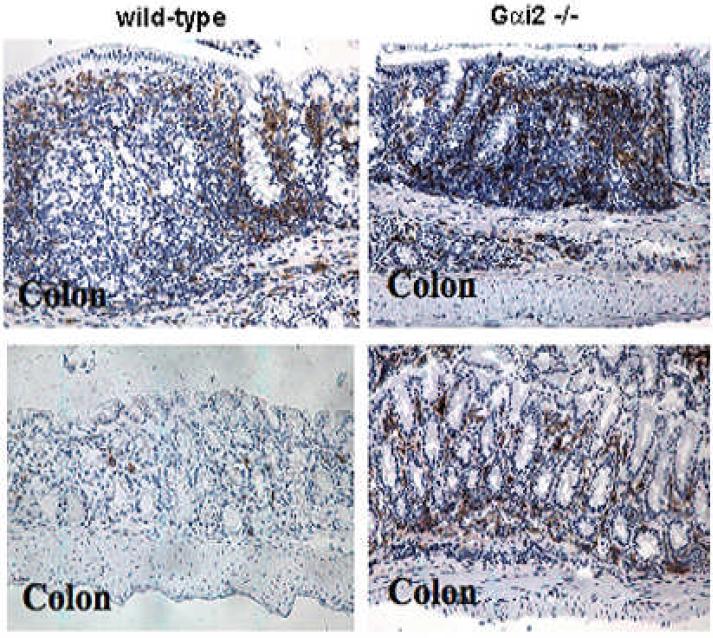 Figure 4b