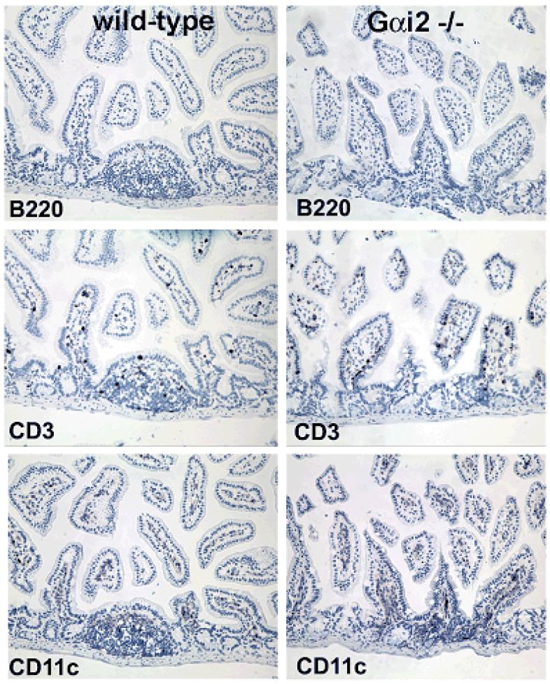 Figure 4a