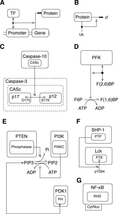 Fig. 6