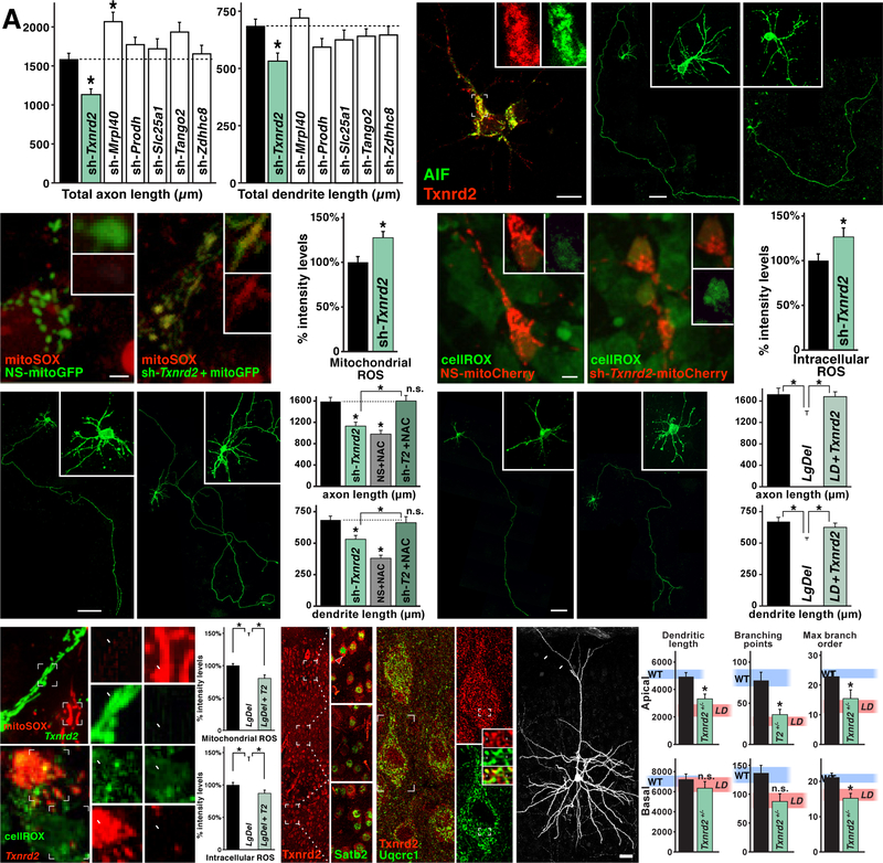 Figure 6: