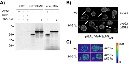 Figure 6.