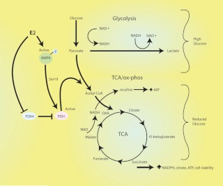 Fig. 10.