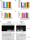 FIG 3