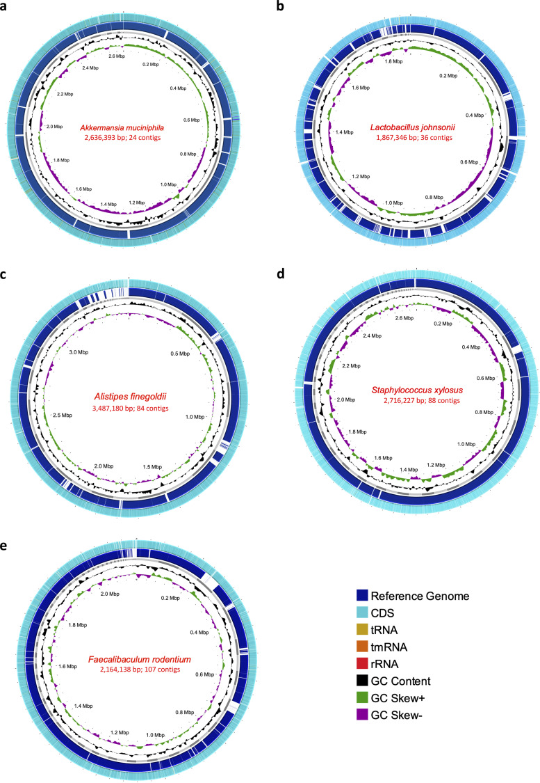 FIG 3