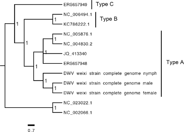 Figure 7: