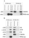 FIG. 7