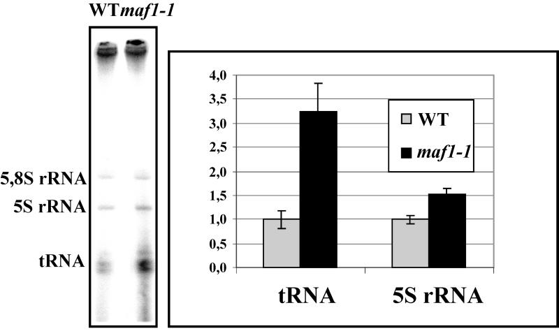 FIG. 6