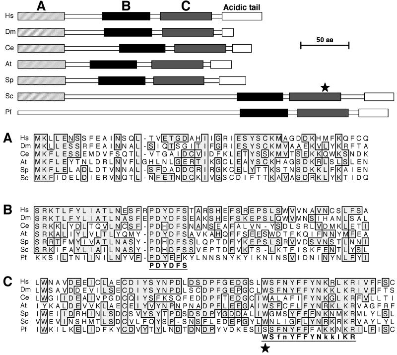 FIG. 1