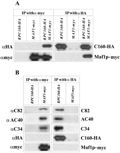 FIG. 7