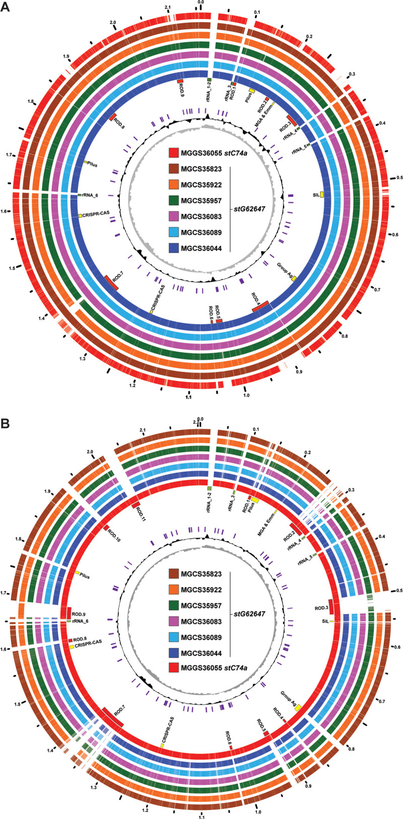 FIG 1