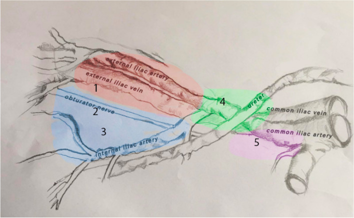 Fig. 1