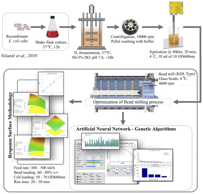 GRAPHICAL ABSTRACT