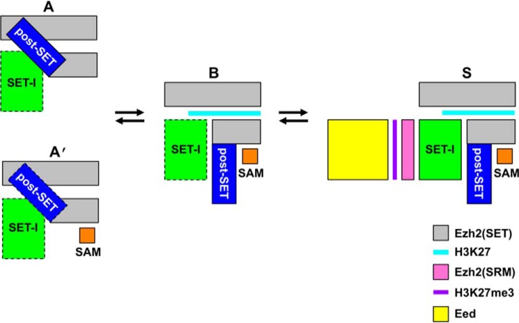 Figure 5.