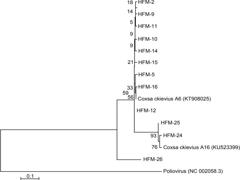 Fig. 7.