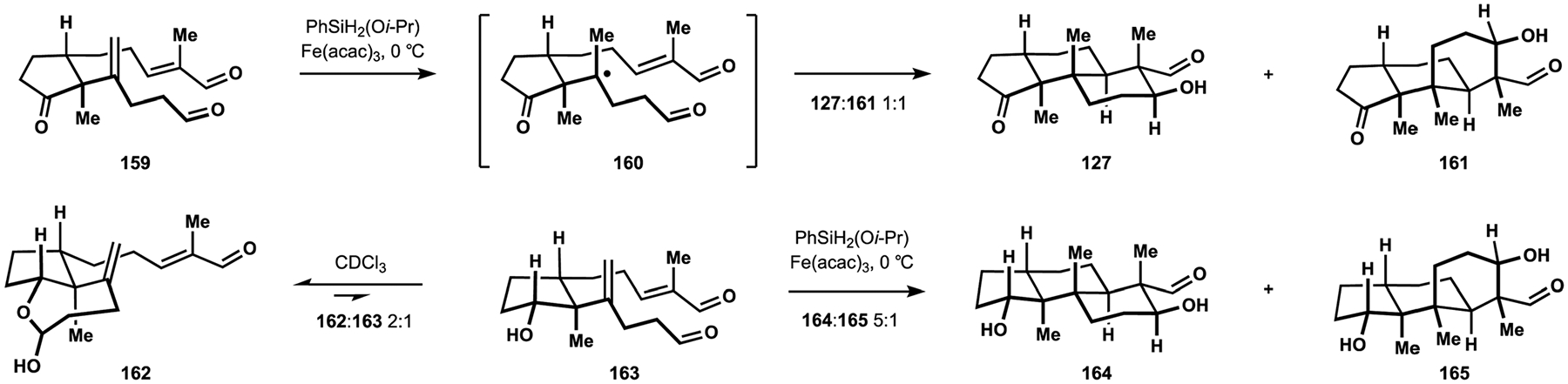 Scheme 17