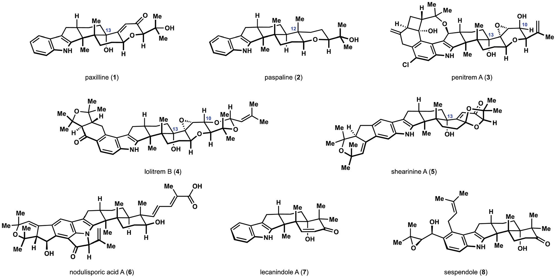 Fig. 1