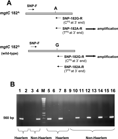 FIG. 1.