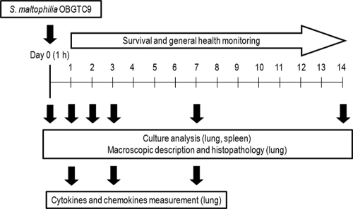 FIG. 2.